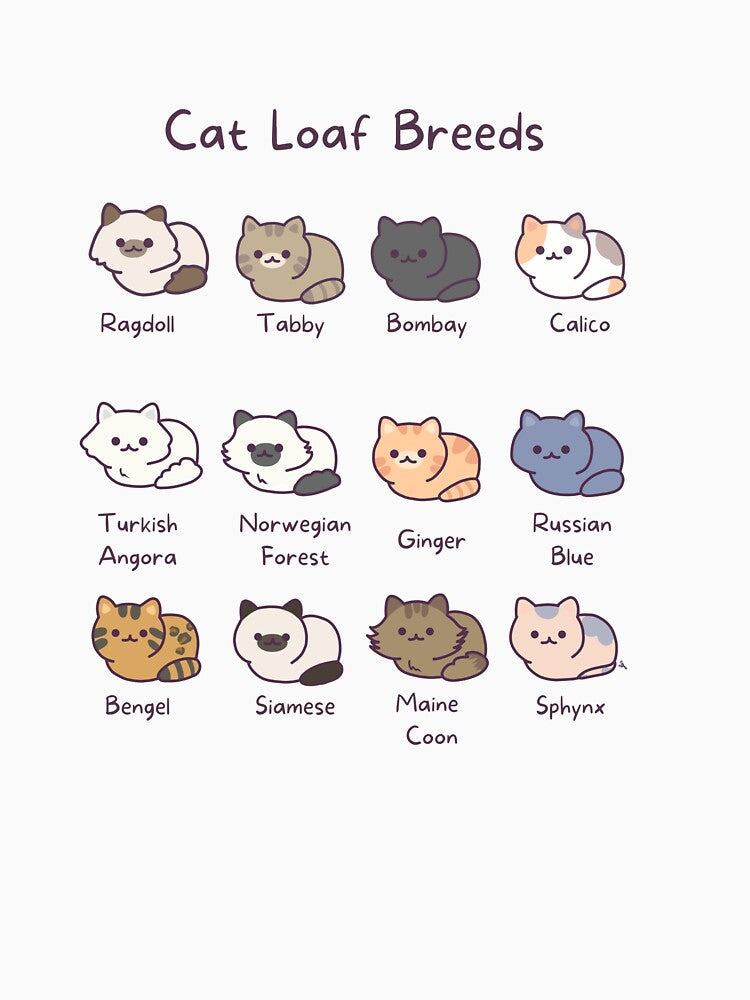 Cat Loaf Breeds by VisualDepth