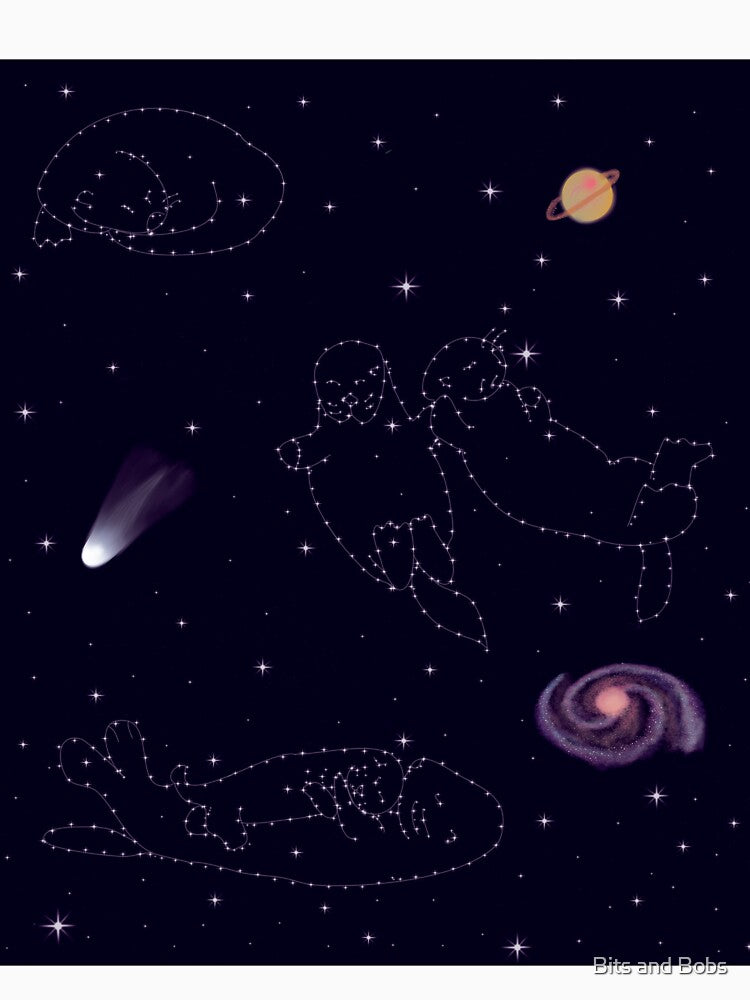 Otter Space by Bits and Bobs