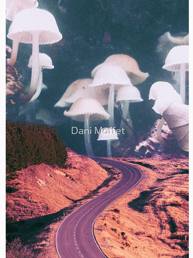 Mushroom Road trip by Dani Moffet