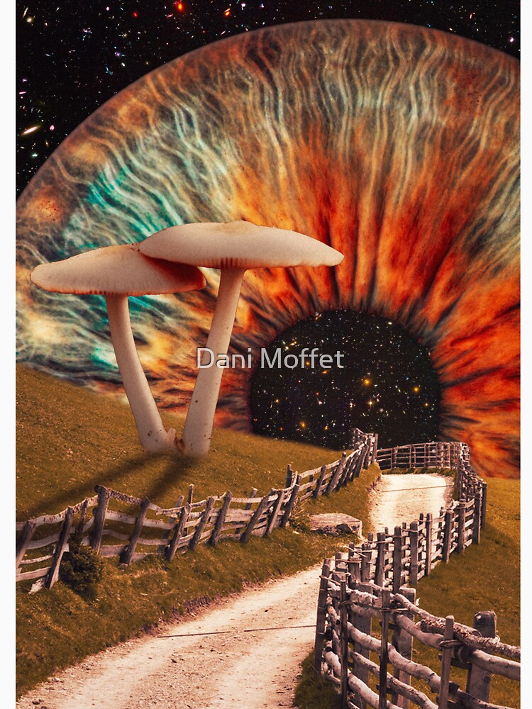 Stars in Your Eyes by Dani Moffet