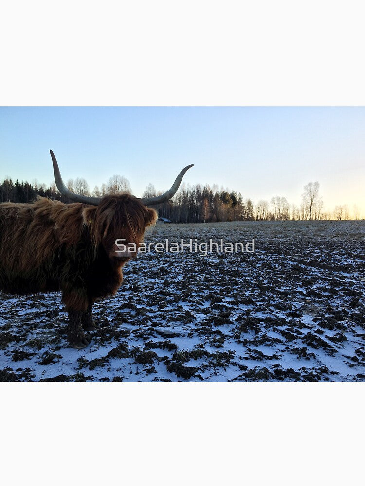 Scottish Highland Cattle Cow 1009 by SaarelaHighland
