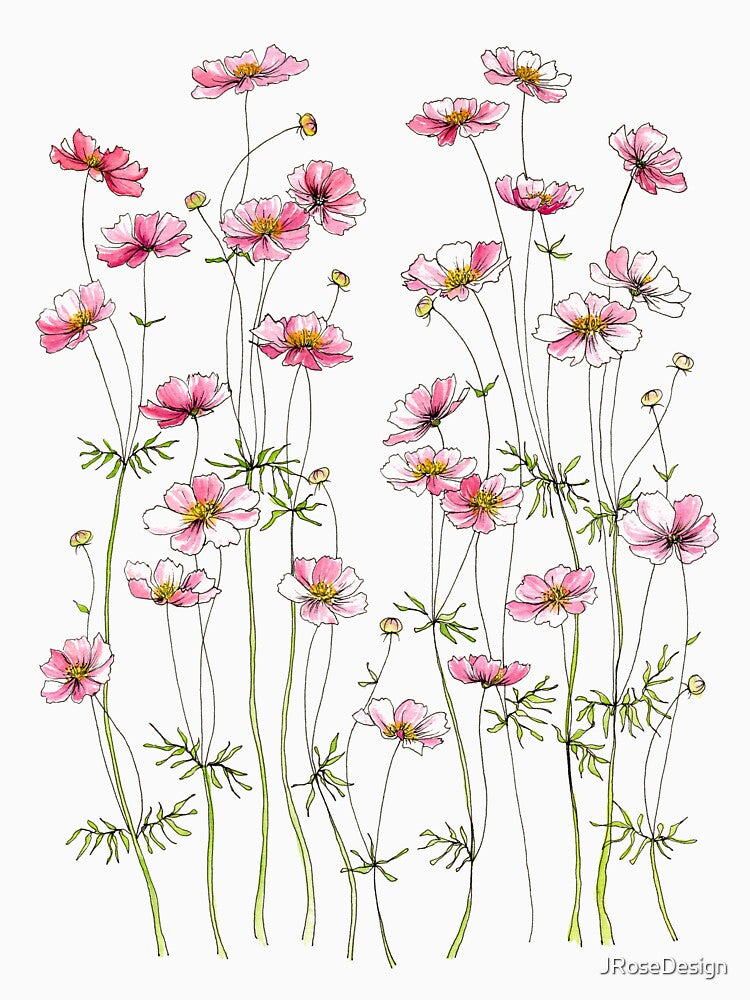 Pink Cosmos Flowers by JRoseDesign