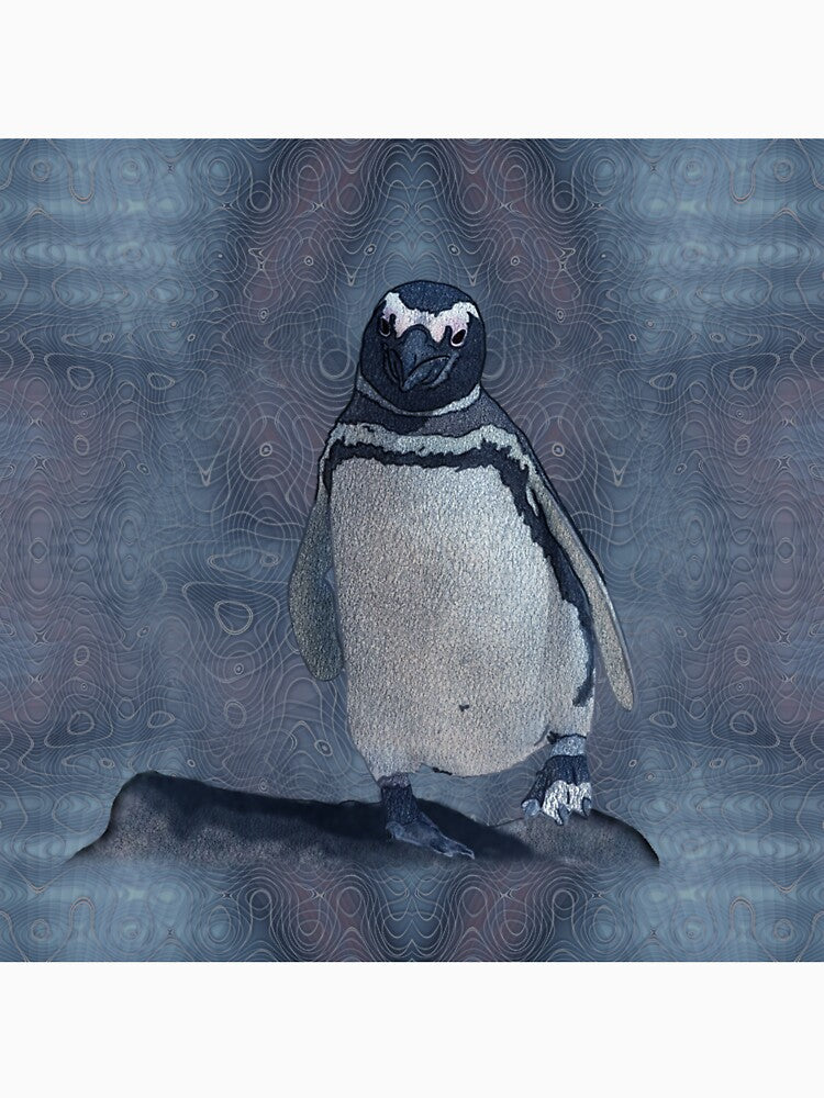 Walking galapagos penguin by Snaret