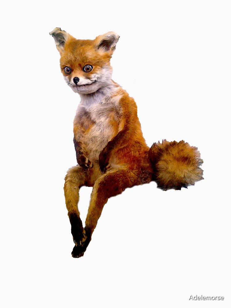 Stoned fox the Taxidermy Fox Meme by Adelemorse