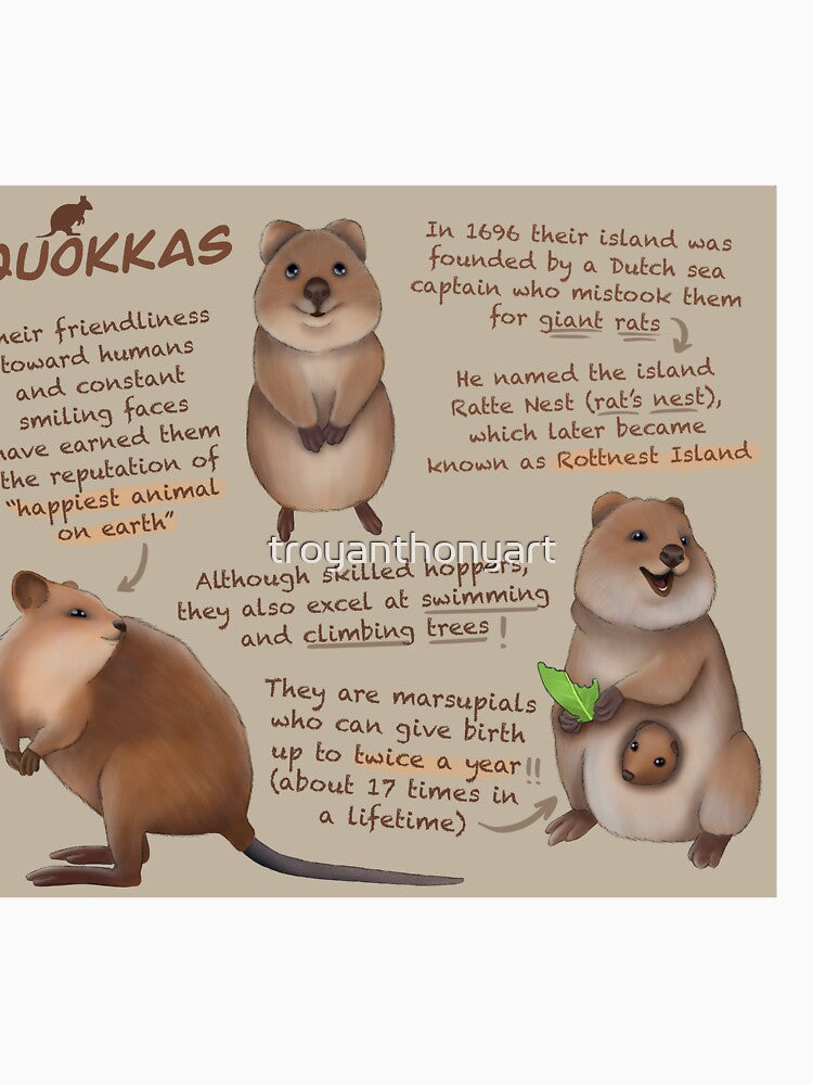 Qoakkas Fun Facts by troyanthonyart
