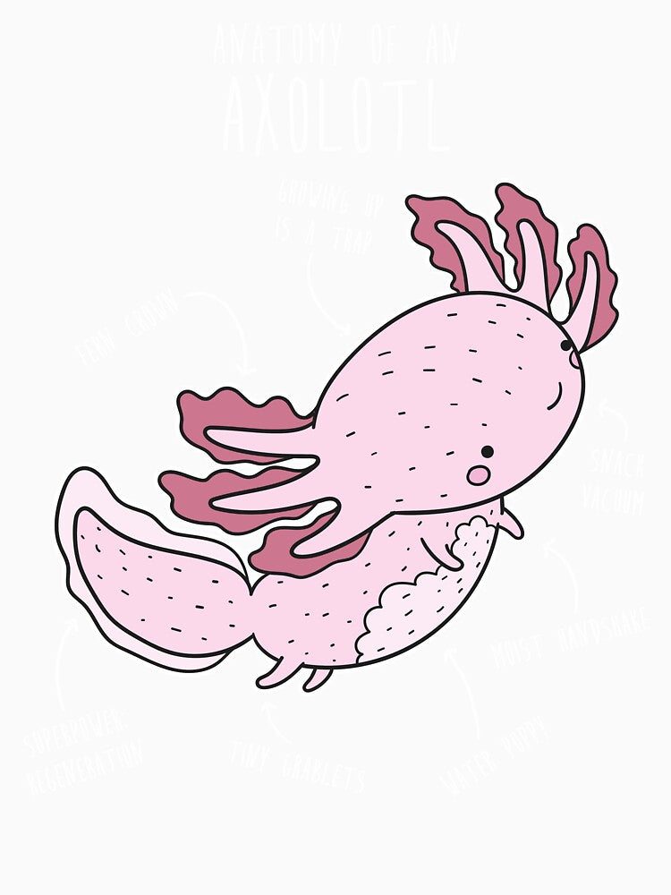 Axolotl Anatomy by Clara Hollins