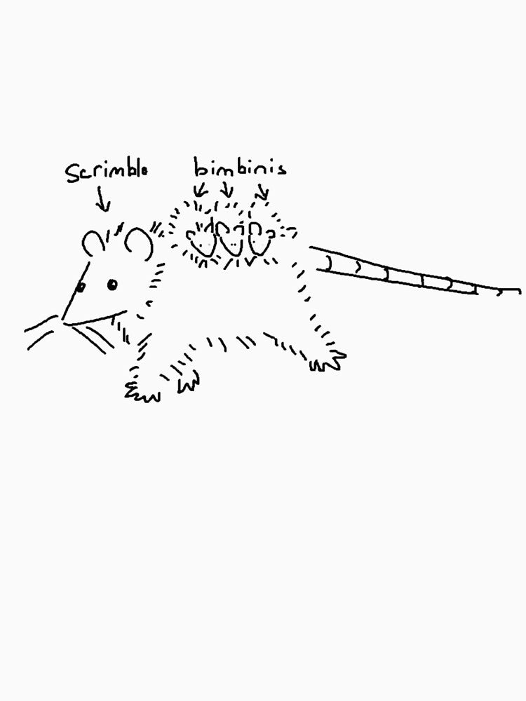 Scrimble and the Bimbinis - Funny Opossum Meme Art by JossDesign15