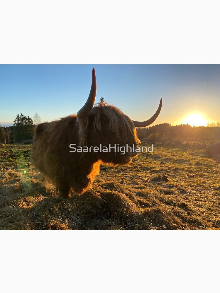 Scottish Highland Cattle Cow 3068 by SaarelaHighland