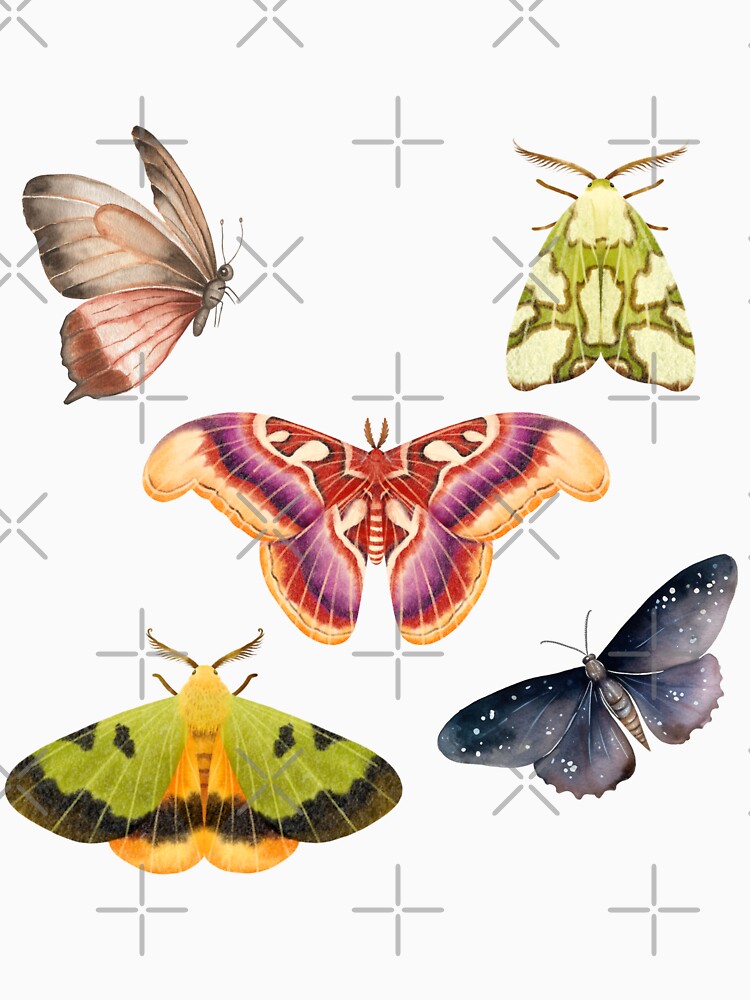 Moth _2 by NexCreation