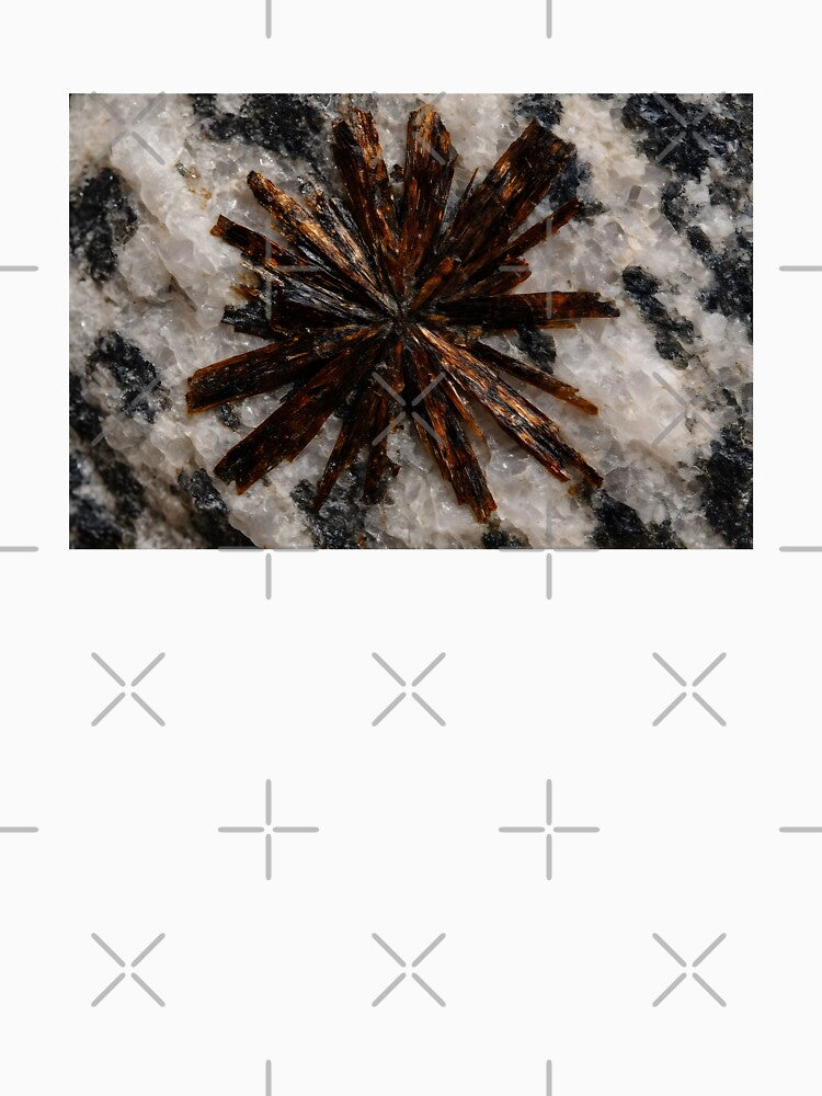 Astrophyllite Crystal Starburst in Granite Matrix by SassyArtistry