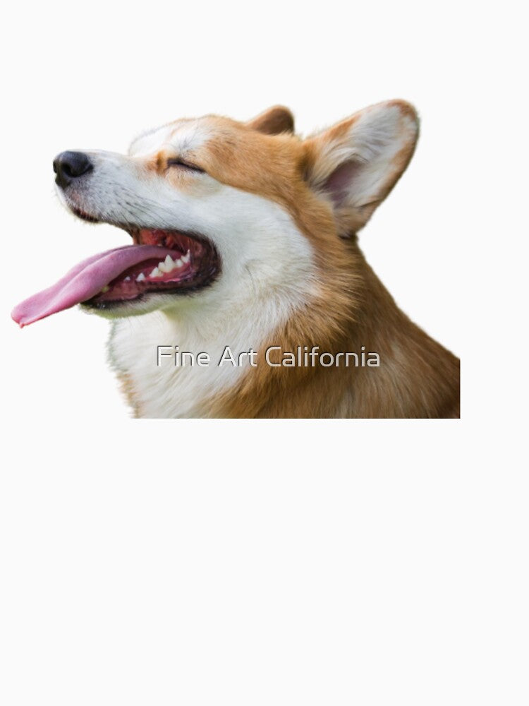 Corgi by Fine Art California