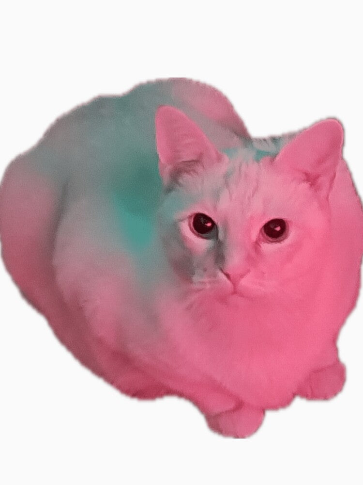 Mayonnaise cat by Kikis Emporium