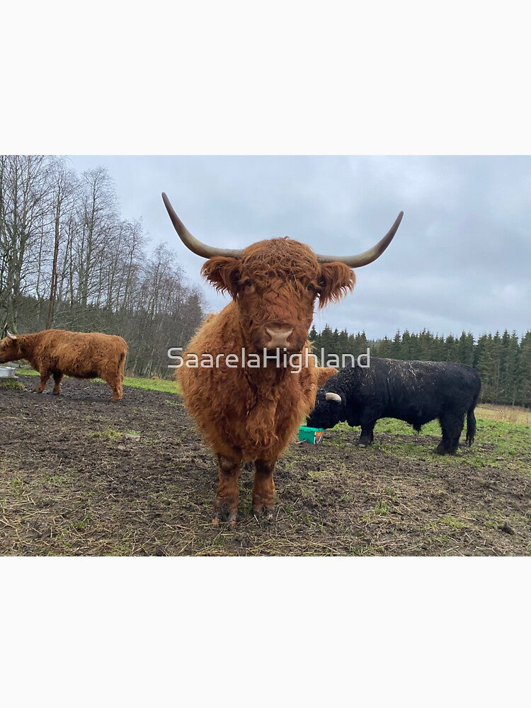Scottish Highland Cattle Cow 3078 by SaarelaHighland