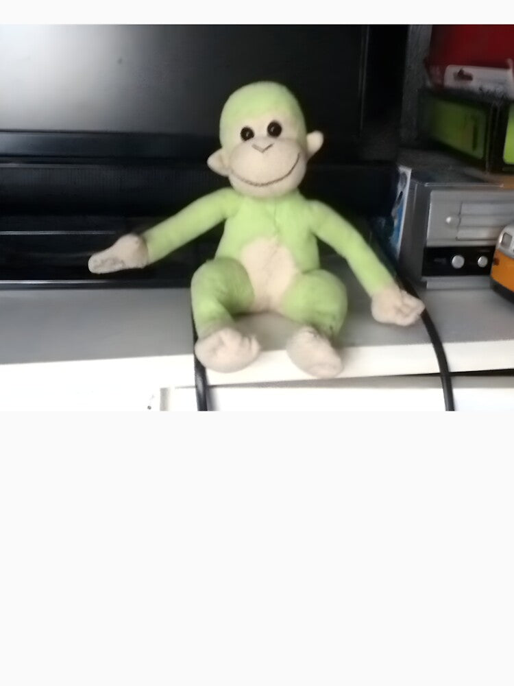 Green Plush Monkey – Vintage Photo from the 2000s by CrimsonREDStore