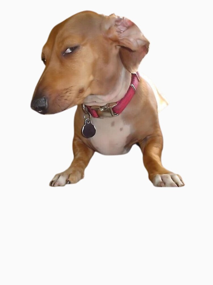 Side Eye Dog - Suspicious Look Meme by klaro45