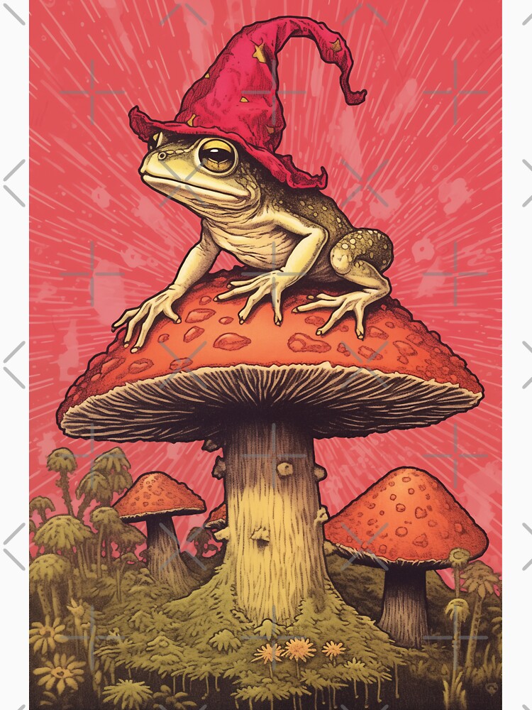 Wizard Frog Toad on Mushroom by egneveRArt