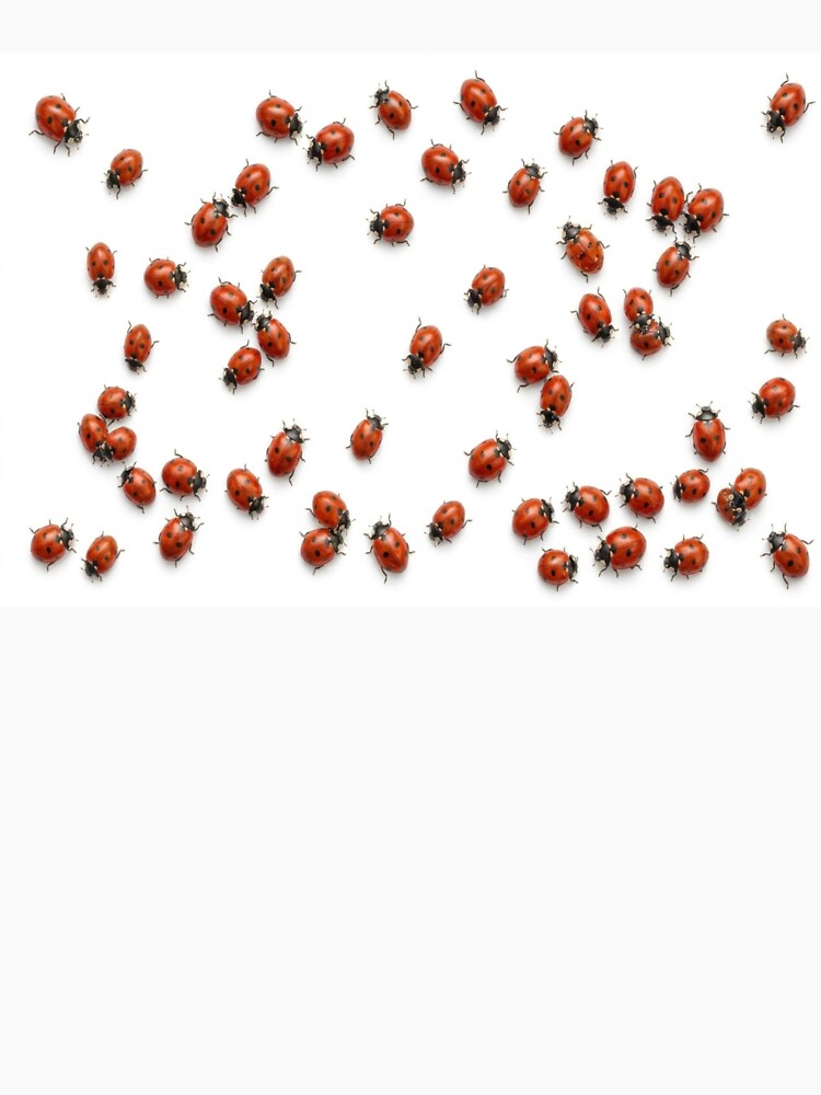 Realistic Crawling Ladybugs | Optical Illusion Nature Pattern by GSizzle1