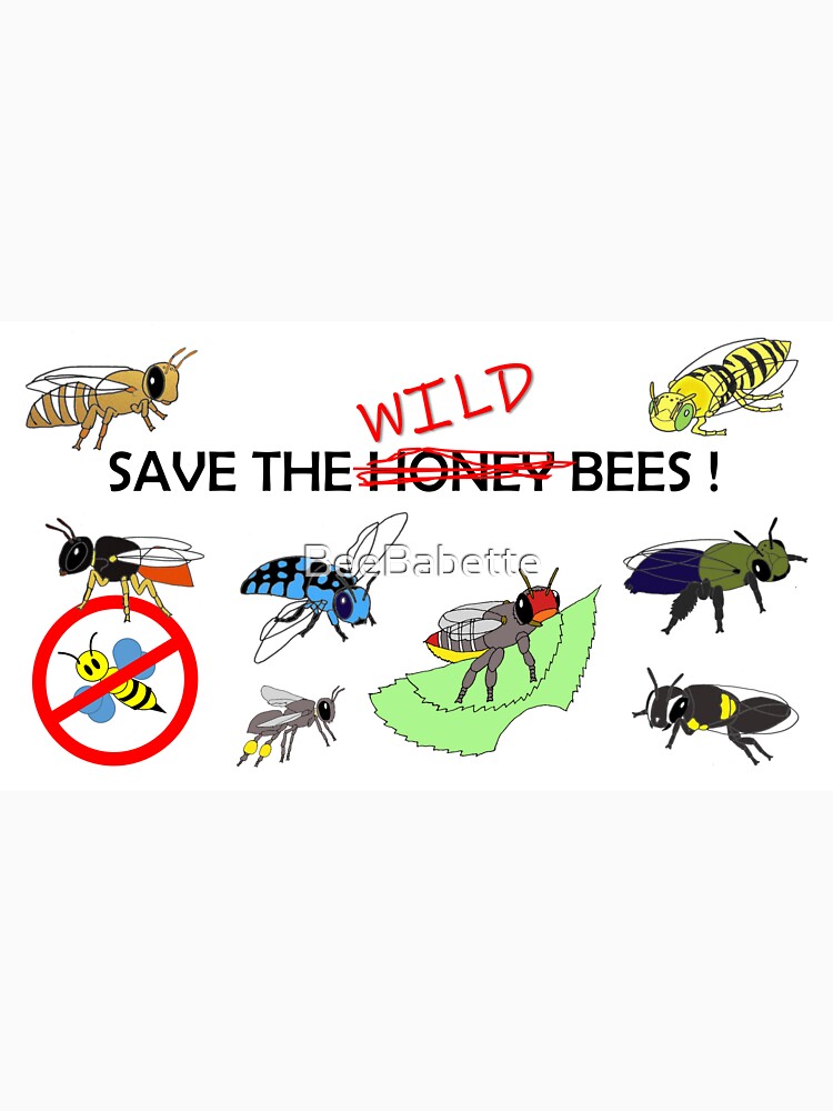 Save the WILD bees (not honeybees) by BeeBabette