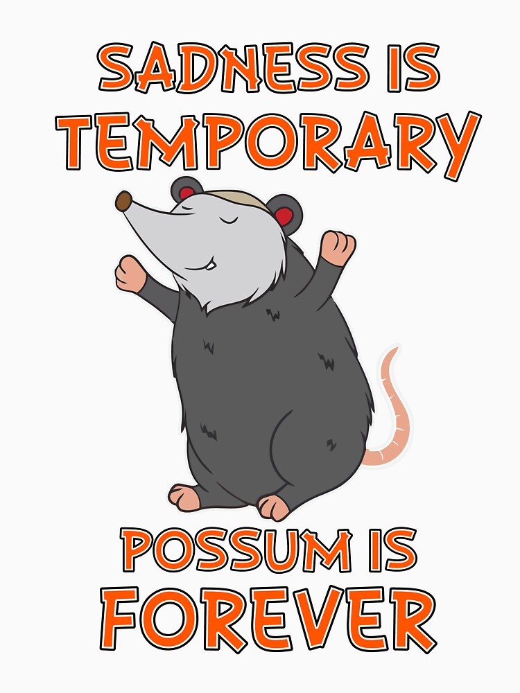 Sadness Is Temporary Possum Is Forever by hpsagor