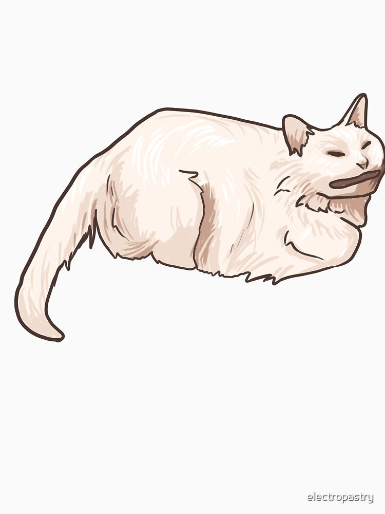 Meme Cat 1 by electropastry