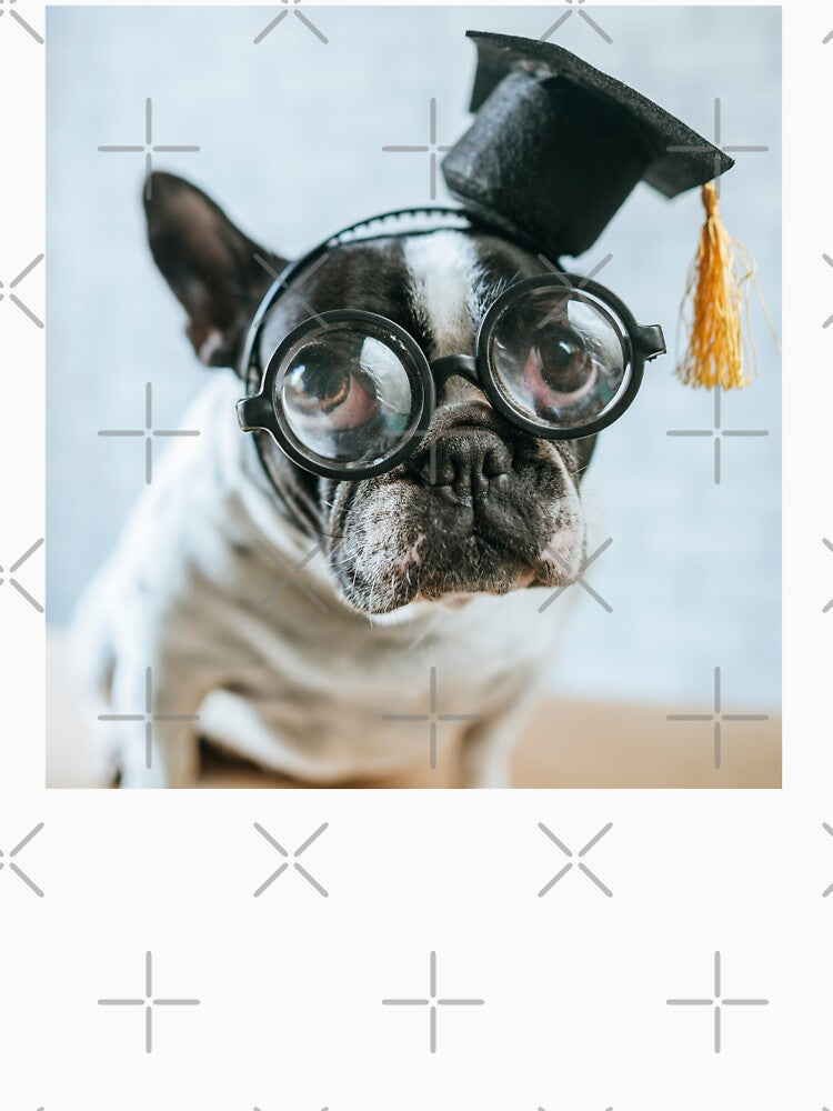 educated dog meme by Roostaman