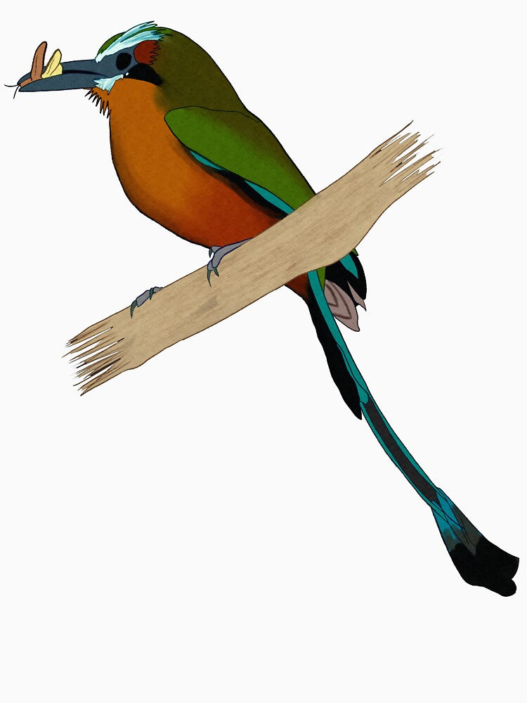 Turquoise Browed Motmot Bird Painting by Black Bronze Media