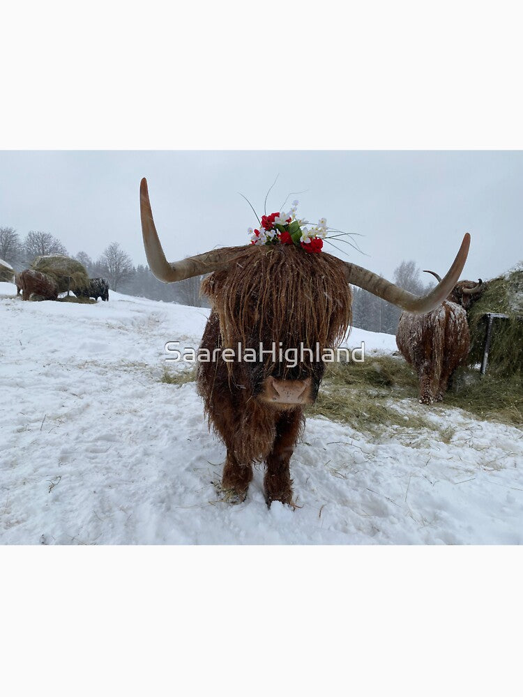 Scottish Highland Cattle Cow 3211 by SaarelaHighland
