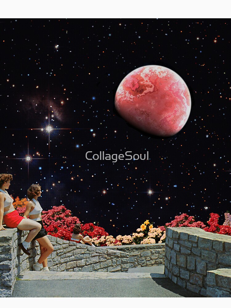 Girls Fantasy Collage art by CollageSoul