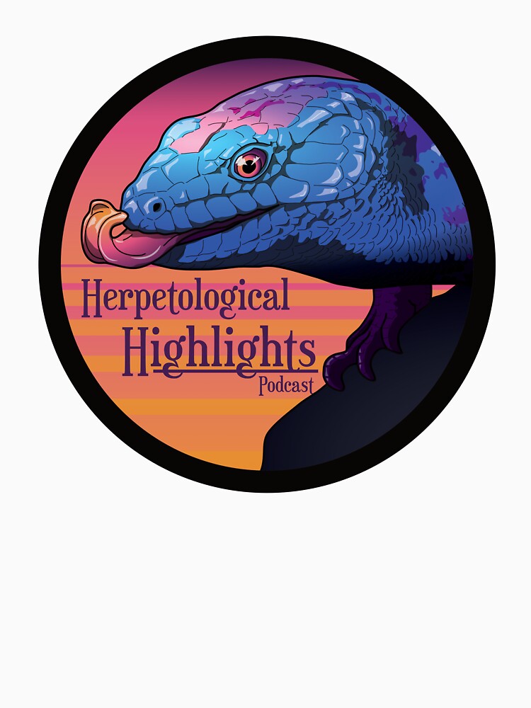 Tiliqua scincoides - Blue-tongued Skink by HerpHighlights