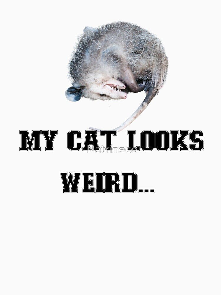 My cat looks weird by Patrineco Limited