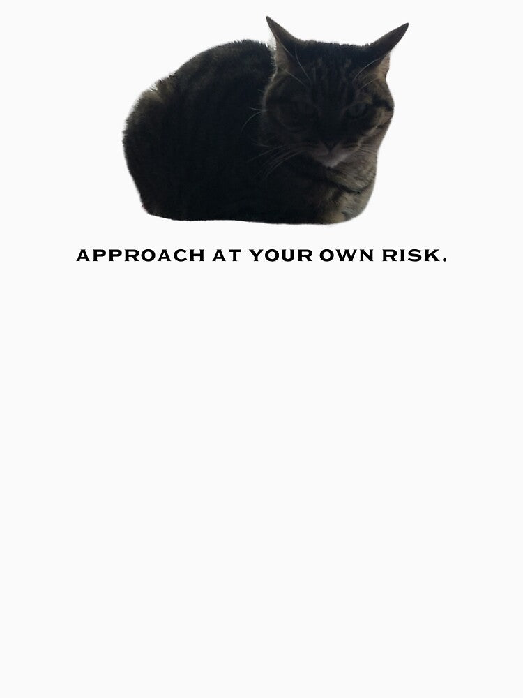 Approach at Your Own Risk by brittfewster