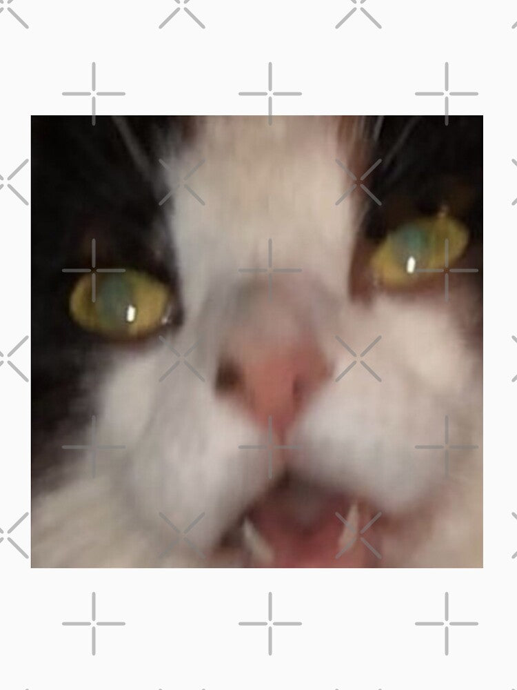 Screaming Cat - Photo by Mekredez