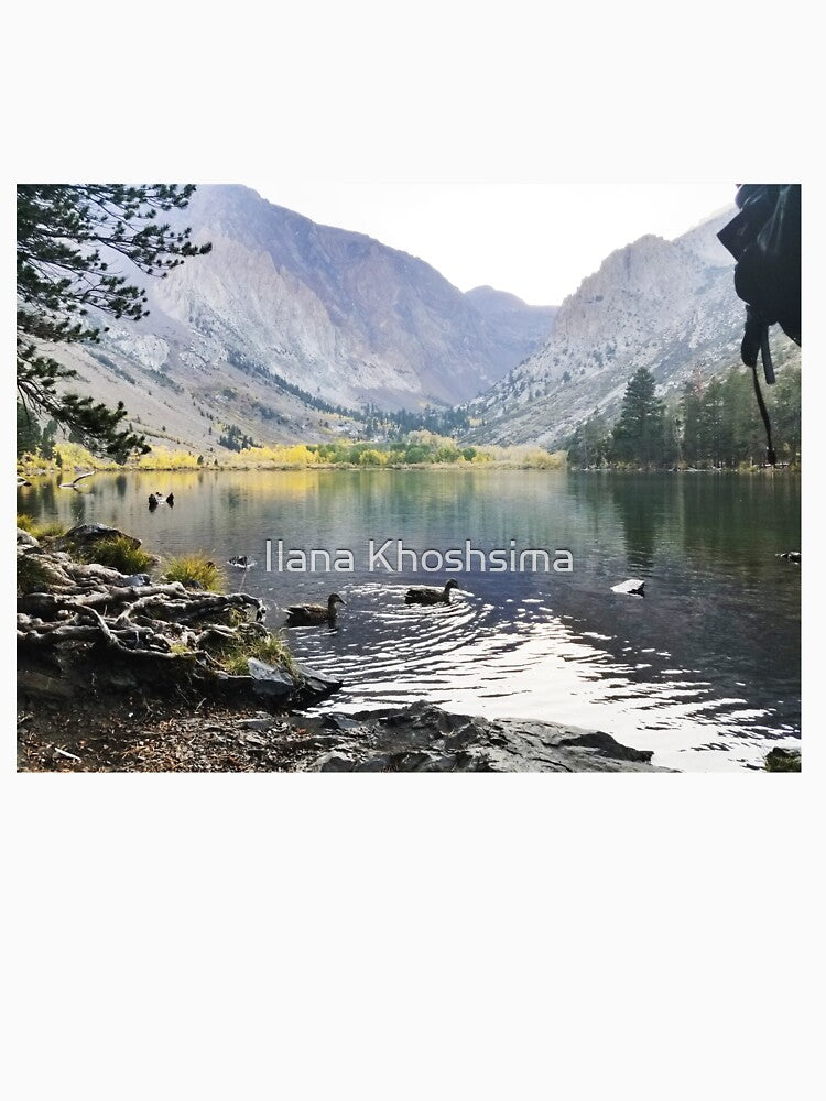 Mammoth Lake Scenery with Mountains and Ducks Floating in the Lake by Ilana Khoshsima