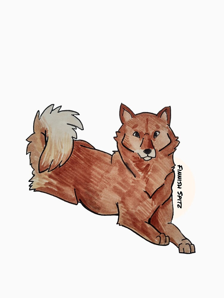 Finnish Spitz by the2000scalled