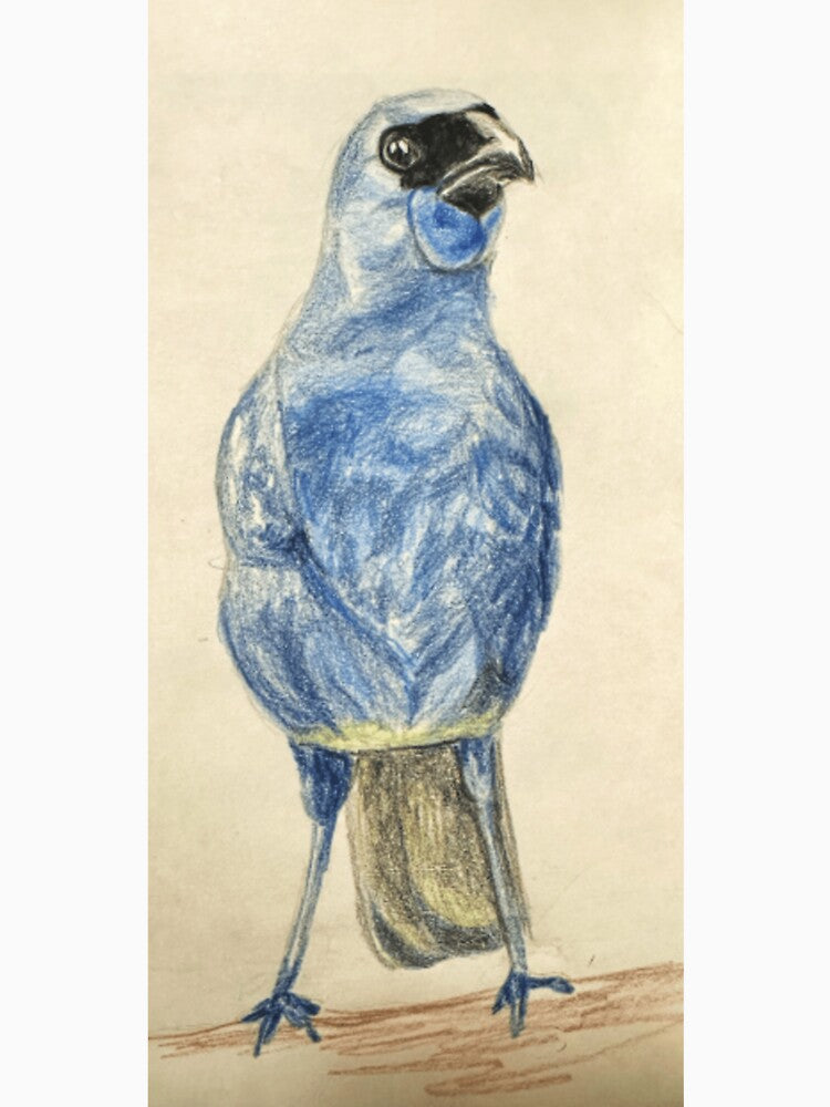Kōkako by MusesDaughter