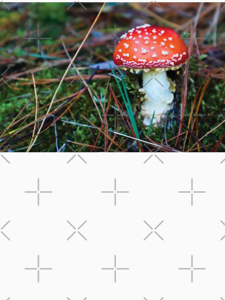 Baby Amanita Muscaria Mushroom in Mossy Pine Forest by Maddy the Maker