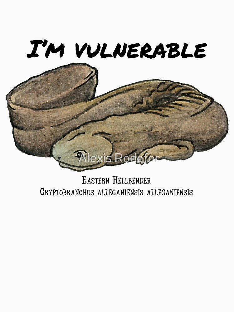 Eastern Hellbender- I'm Vulnerable by Alexis Rodefer