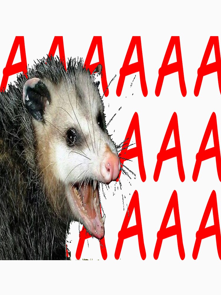 AAAAA POSSUM by royalblewitup