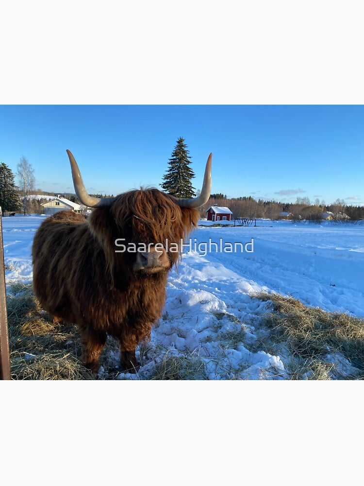 Scottish Highland Cattle Cow 3228 by SaarelaHighland
