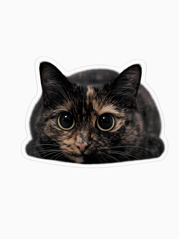 The Cat Loaf Has Seen Everything by OneStepFromArt