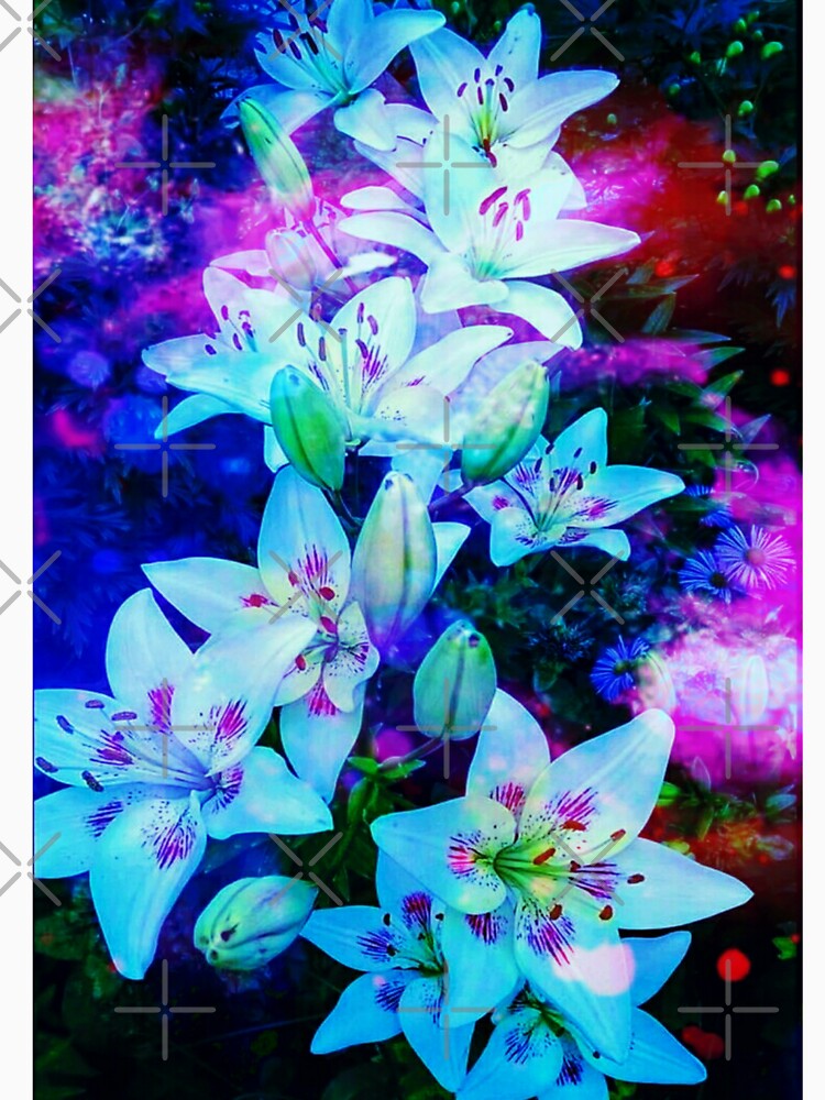 Flower by Shahid1234