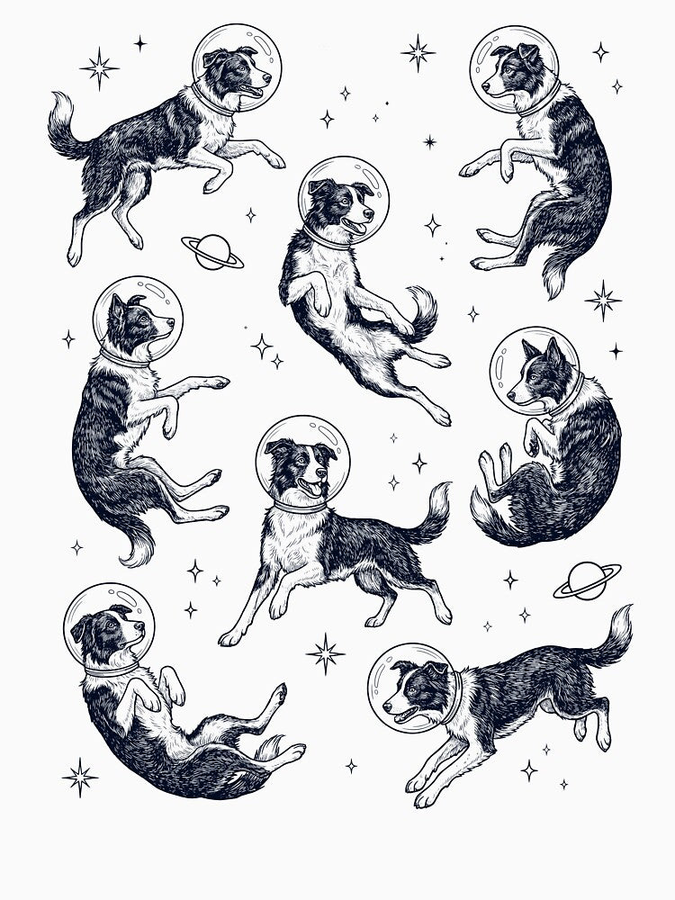 Vintage Border Collie Astronaut Galaxy Space Dog Lover by TerryConnells
