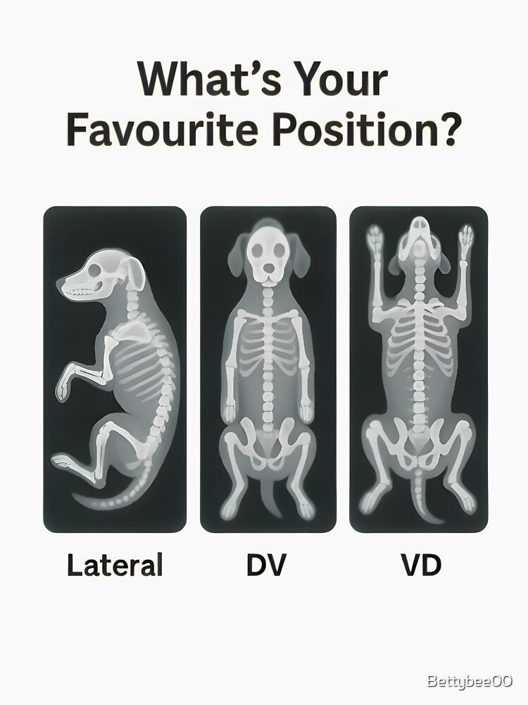 What’s Your Favourite Position? — Vet X-Ray Edition by Bettybee00