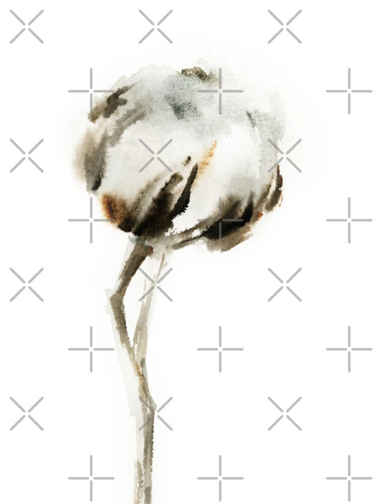 Cotton flower by CanotStop