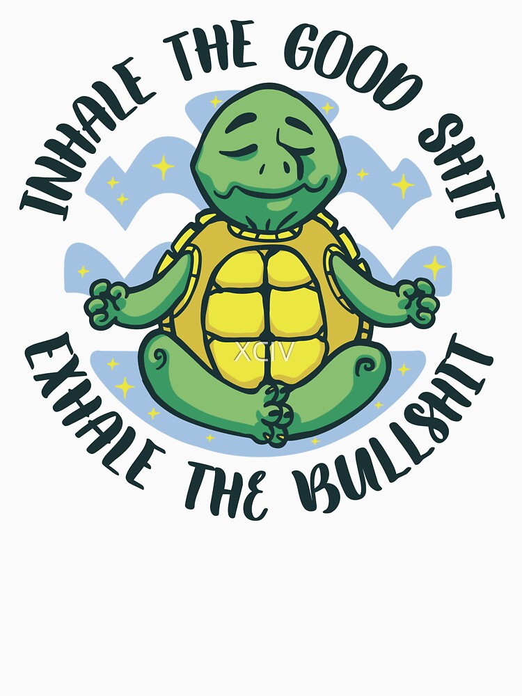 Yoga Turtle by XCIV
