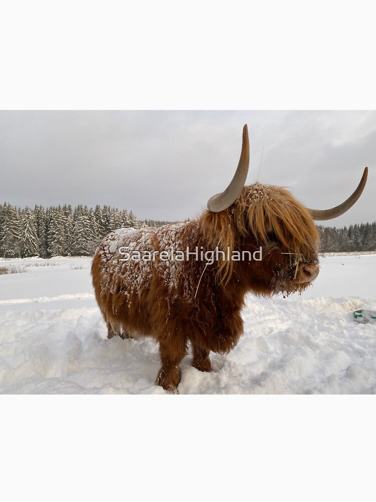Scottish Highland Cattle Cow 3102 by SaarelaHighland