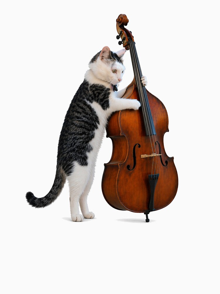 Cool cat playing upright bass by drygulchshop