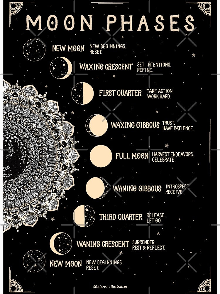 Moon Phases Art by sierratruong
