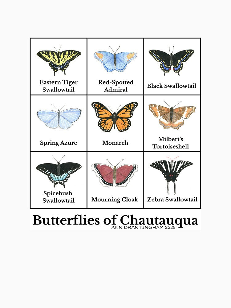 Butterflies of Chautauqua by Ann Brantingham -- Nature Art