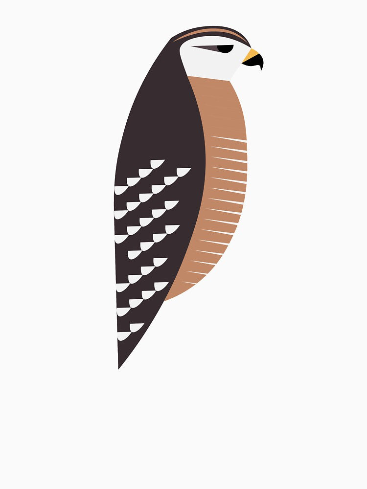 Minimalist Red-shouldered Hawk by jspiggle